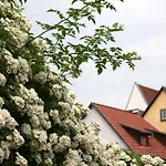 Pension am Dom